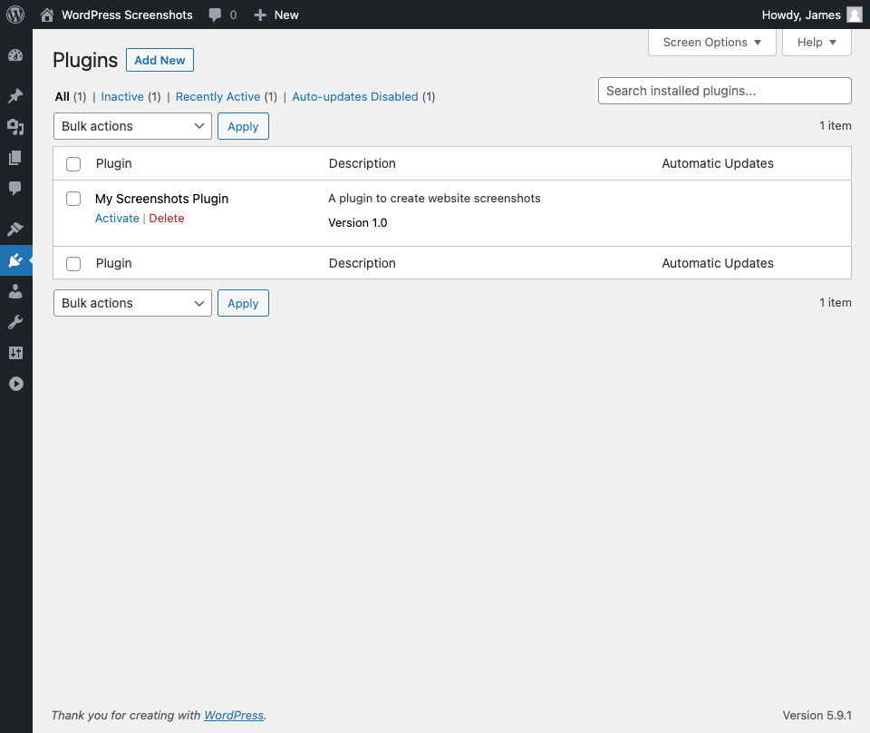 Viewing our plugin in the WordPress admin