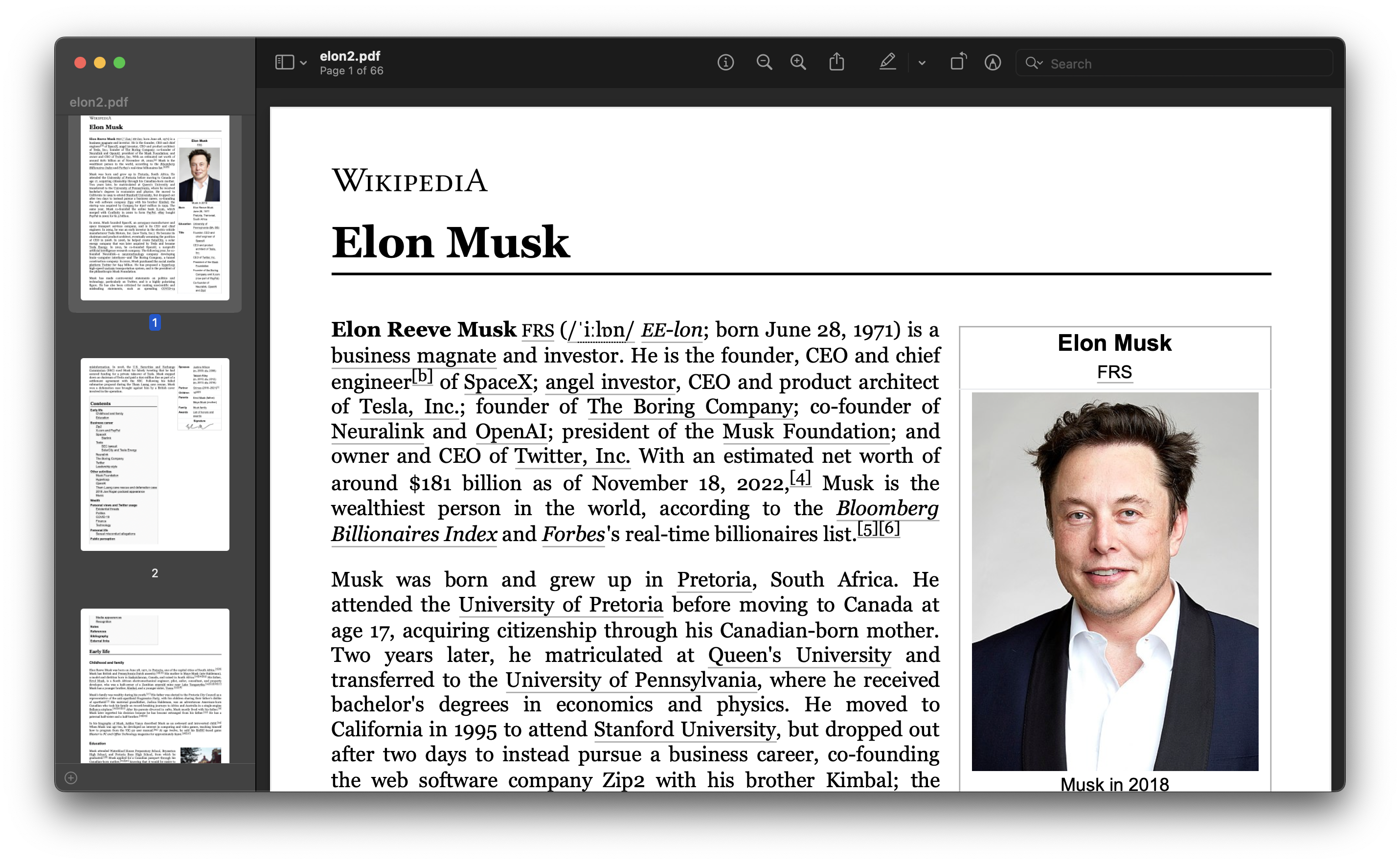 Image of generated Elon's PDF using pyhtml2pdf